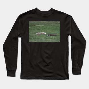 Wolves Long Sleeve T-Shirt